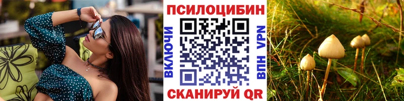 Псилоцибиновые грибы мицелий  Спасск-Дальний 